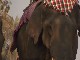 Фестиваль слонов с Лаосе