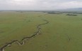 Maasai Mara National Reserve 图片