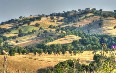  Maremma Regional Park 图片