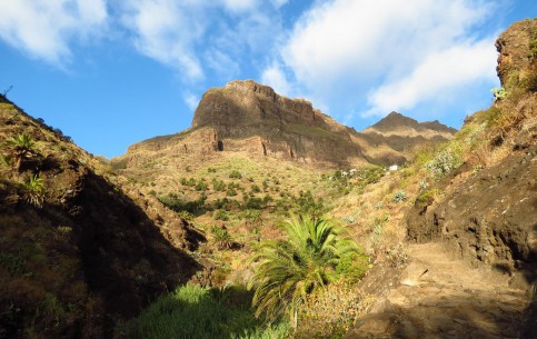  Canary Islands:  Santa Cruz de Tenerife:  スペイン:  
 
 Mask Gorge