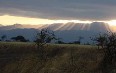 Meru National Park 写真