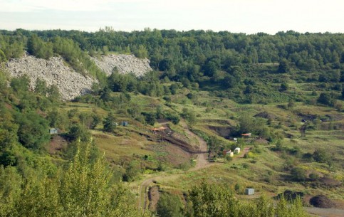  Frankfurt:  Germany:  
 
 Messel pit