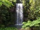 Millaa Millaa Falls (Australia)