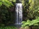 Millaa Millaa Falls