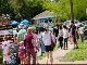 Shopping in Mount Tamborine (Australia)