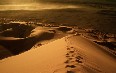 Namib Desert Images