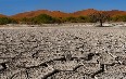 Пустыня Намиб Фото
