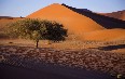 ナミブ砂漠 写真