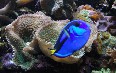 National Aquarium in Washington Images