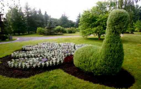  كندا:  New Brunswick:  
 
 New Brunswick Botanical Garden