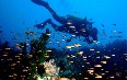 Diving Nha Trang Images