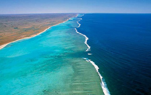  أستراليا:  أستراليا الغربية:  
 
 Ningaloo Reef