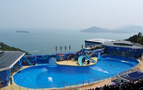  香港:  中国:  
 
 Ocean Park Hong Kong