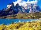 Patagonia Chilena