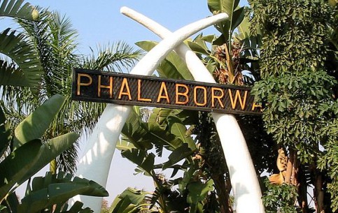  Limpopo:  South Africa:  
 
 Phalaborwa