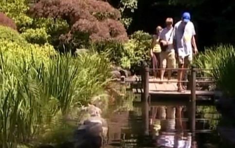 Изумительный Японский сад в Вашингтонском парке Портленда, спроектированный профессором Такума Тоно, считается одним из лучших за пределами Японии