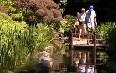 Портлендский Японский сад Фото