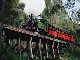 Puffing Billy railway (オーストラリア)