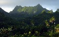 拉罗汤加岛 图片
