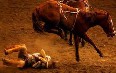Rodeo Images