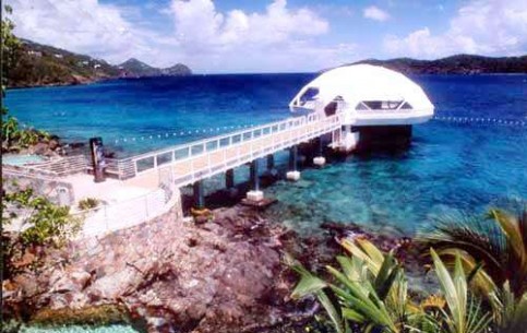  United States Virgin Islands:  United States:  
 
 Coral World Ocean Park