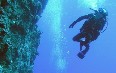 Saipan diving 写真