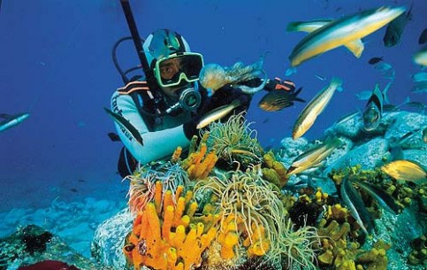  Colombia:  
 
 San Andres Island, Diving