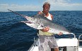 Sea Fishing on Gold Coast Images