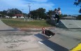 Skateboard In Shellharbour 图片