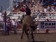 Small Town Rodeo (كندا)