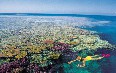 Snorkelling in the Whitsundays Island  صور