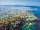 Snorkelling in the Whitsundays Island 