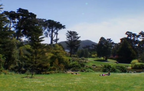  旧金山:  加利福尼亚州:  美国:  
 
 Spring in Golden Gate Park 