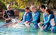 Swimming with Dolphins at Sea World 写真