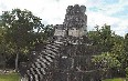 Tikal Images