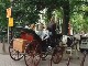 Transportations in Amsterdam (هولندا)