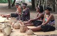 Typical Zulu Village 图片