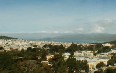 Views from De Young's Observatory Tower صور