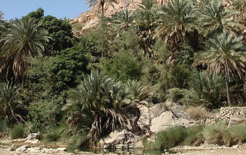  سلطنة_عمان:  مسقط (محافظة):  
 
 Wadi Bani Khalid