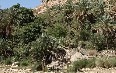 Wadi Bani Khalid 写真