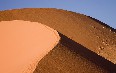 Welwitschia Plains صور