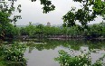 West Lake or Xī Hú صور