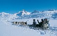 Winter in Greenland صور