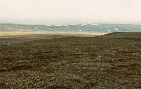  Chukotskiy Avtonomnyy Okrug:  Russia:  
 
 Wrangel Island