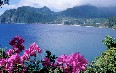 Dominica Images