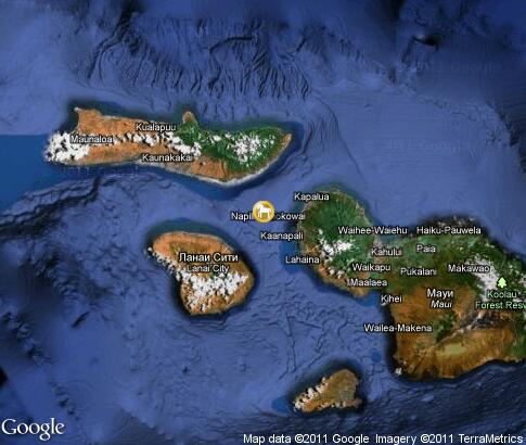 マップ: Maui Whale Watching